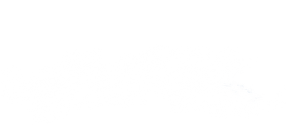 Can Am X3 Toe Link Support (TLS) Kit - Shock Therapy - Can-Am